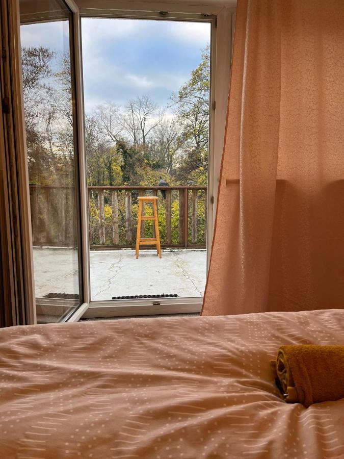 Breathtaking Shared Villa Near Danube River /W Garden And Parking เวียนนา ภายนอก รูปภาพ