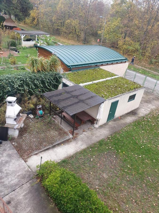 Breathtaking Shared Villa Near Danube River /W Garden And Parking เวียนนา ภายนอก รูปภาพ
